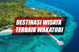 Wisata Wakatobi 2025: Surga Bawah Laut, Ekowisata, dan Pesona Budaya Sulawesi  Slug